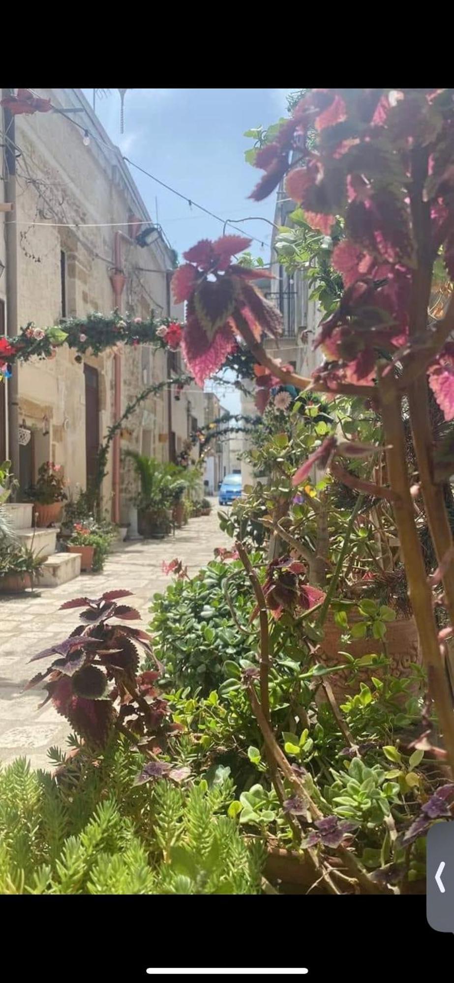 Vico Luxury Room ميسانيي المظهر الخارجي الصورة