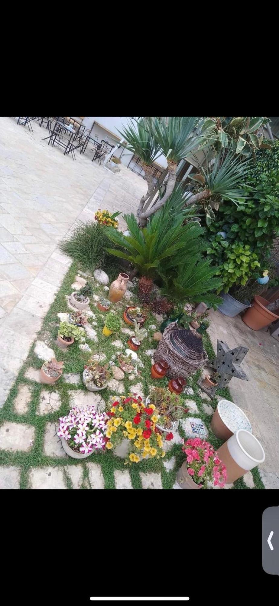 Vico Luxury Room ميسانيي المظهر الخارجي الصورة